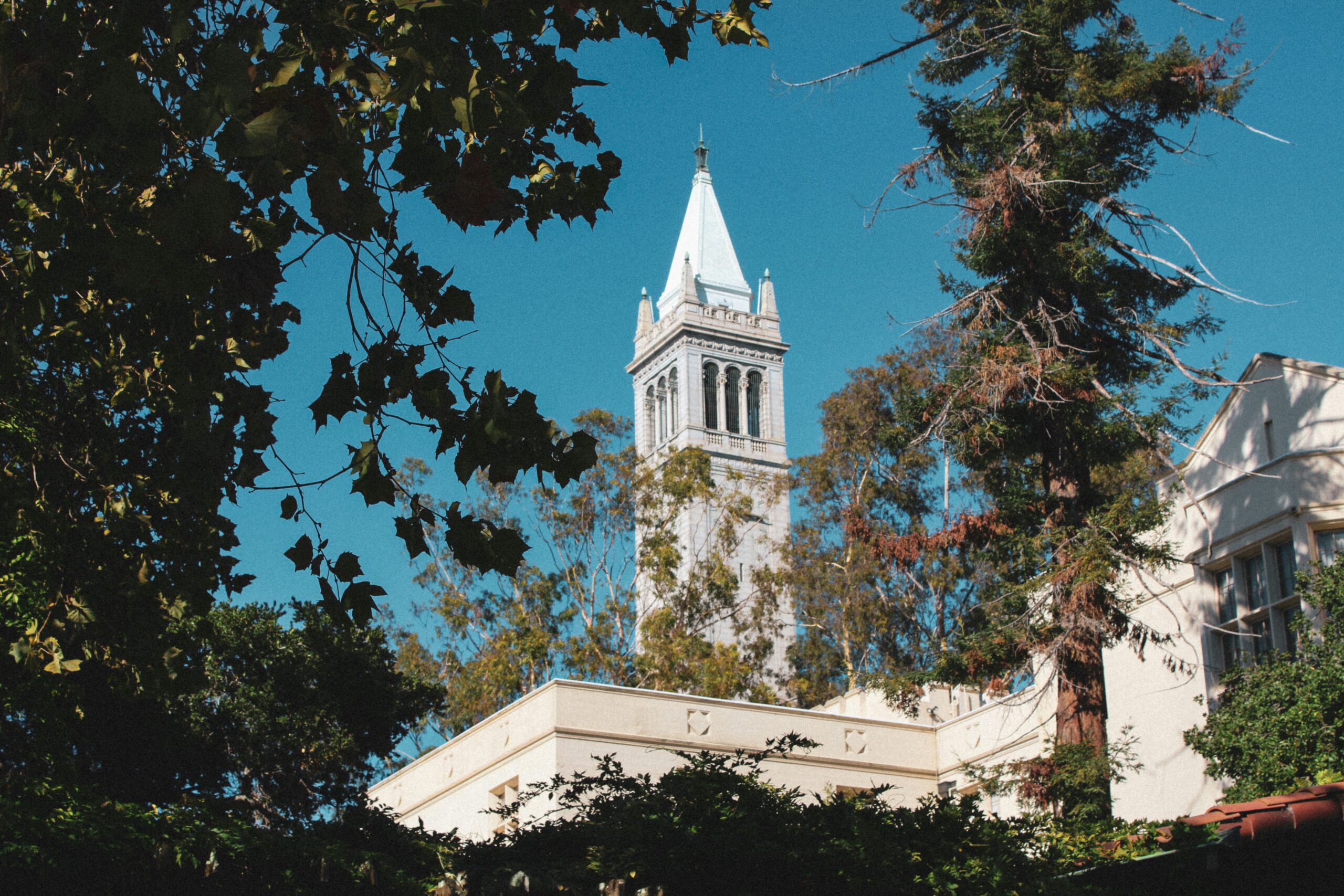Top universități americane — MIT, Stanford, Caltech