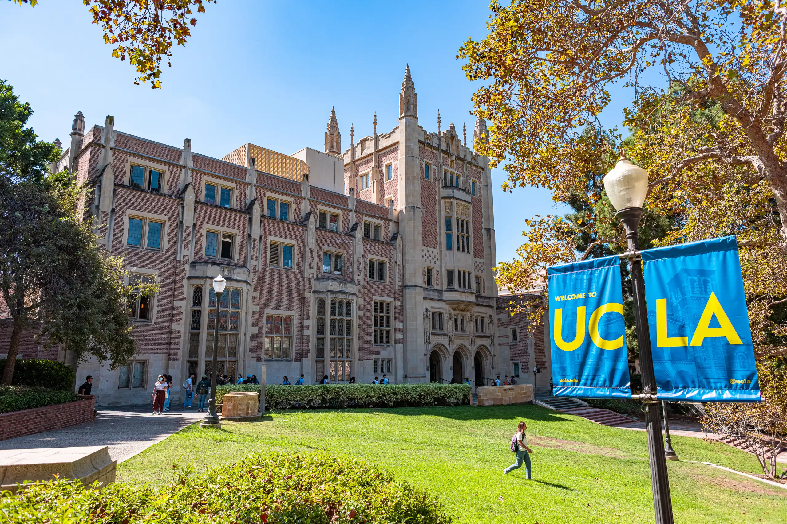 University of California Los Angeles
