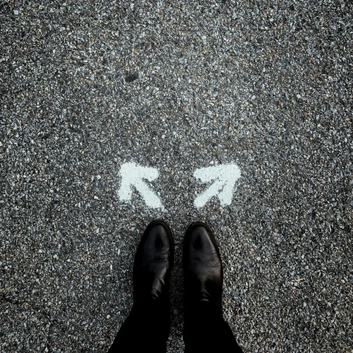 Career Path Image
